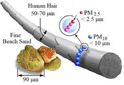 PM2.5 and PM10 particle sizes against a background of human hair with a... | Download Scientific Diagram