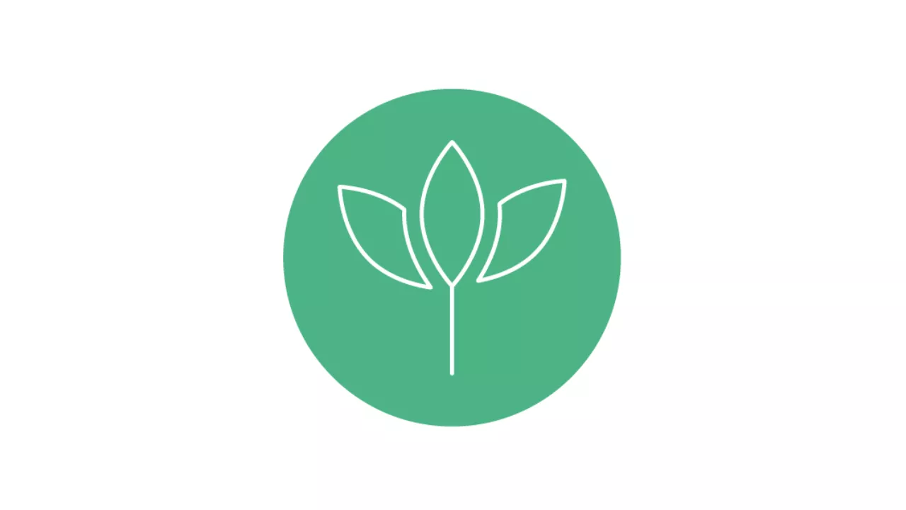Environmental Sustainability