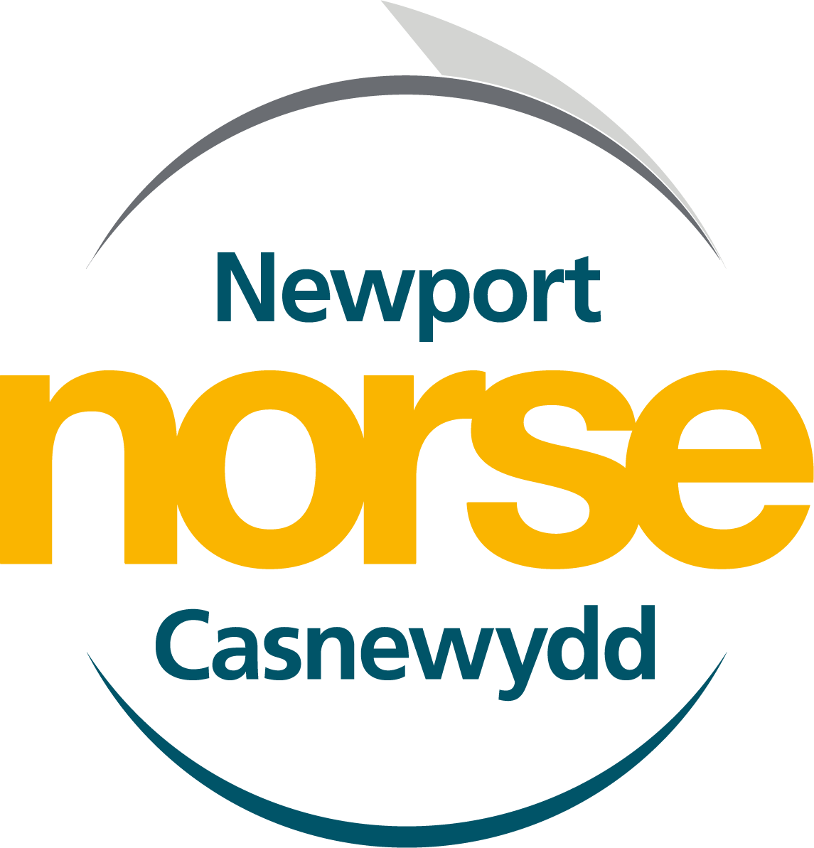 New Newport Norse Logo